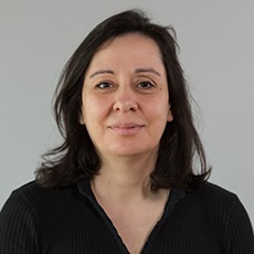 Hale Dilek Süer