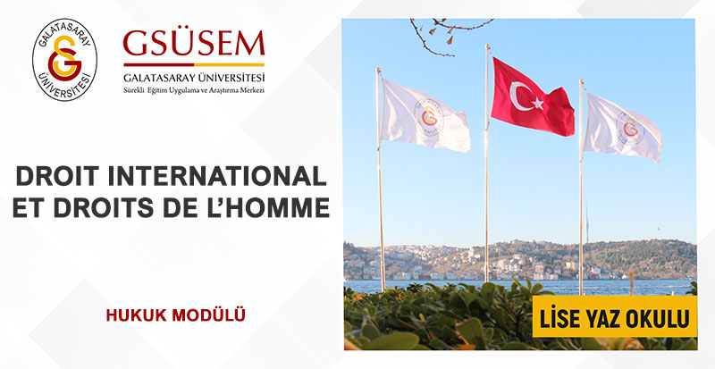 Droit international et droits de l’homme görsel