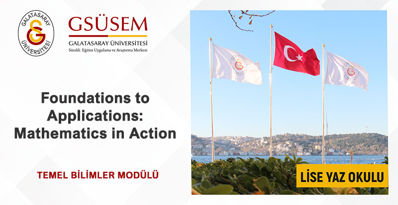 Foundations to Applications: Mathematics in Action görsel