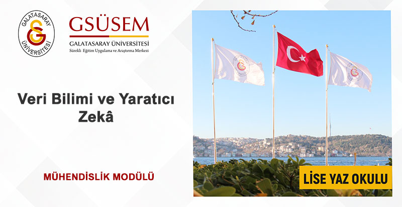 Veri Bilimi ve Yaratıcı Zekâ görsel