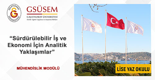 Sürdürülebilir İş ve Ekonomi İçin Analitik Yaklaşımlar görsel